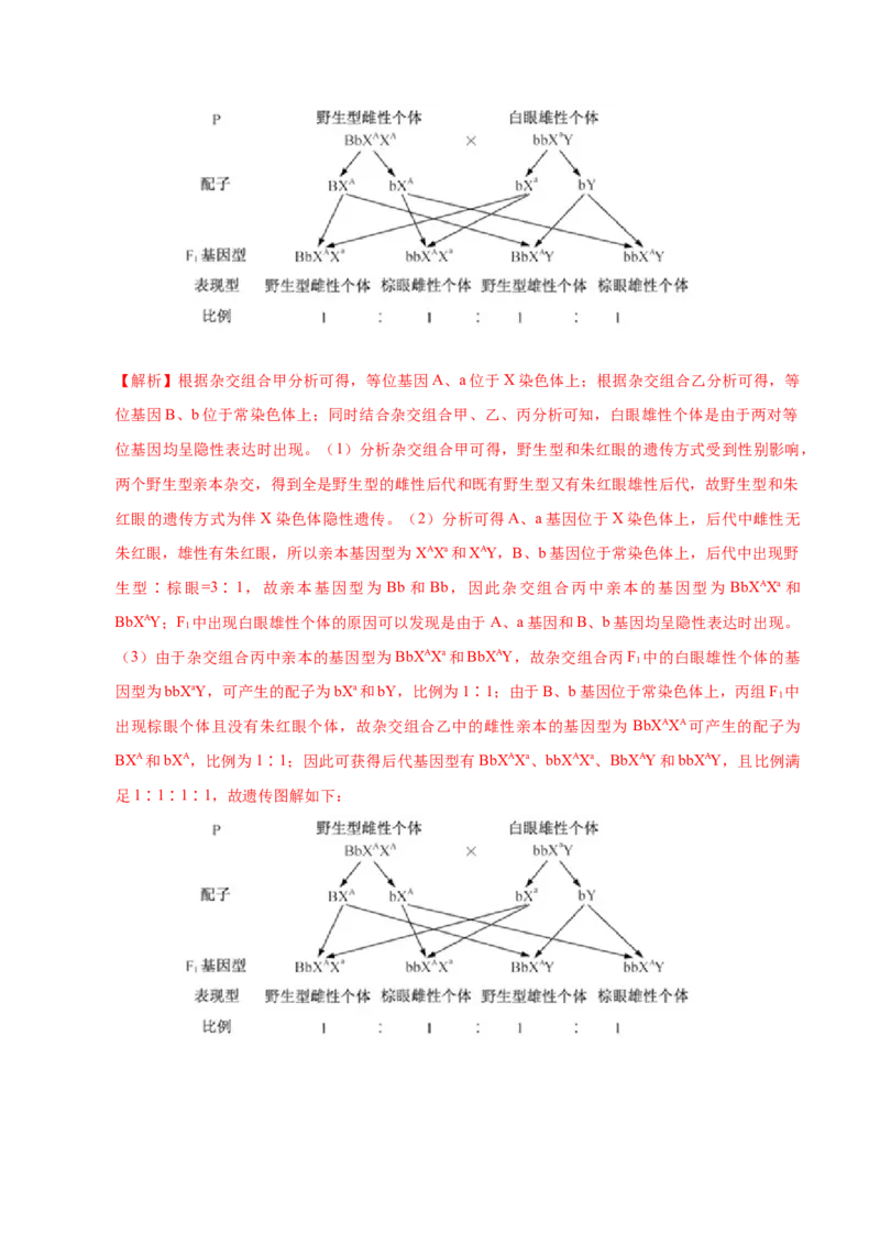 第七单元伴性遗传和人类遗传病（作业）_新高考复习资料_2022年新高考复习资料_2022届一轮复习讲练结合7.13更新_系列一_第七单元伴性遗传和人类遗传病