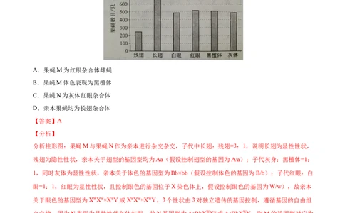 第七单元伴性遗传和人类遗传病（作业）_新高考复习资料_2022年新高考复习资料_2022届一轮复习讲练结合7.13更新_系列一_第七单元伴性遗传和人类遗传病