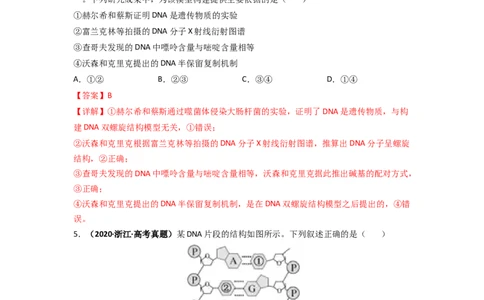第7讲DNA的结构-精准备考备战2023年高考生物一轮复习精品讲义（生物学必修2）（解析版）_通用版（老高考）复习资料_2023年复习资料_一轮复习