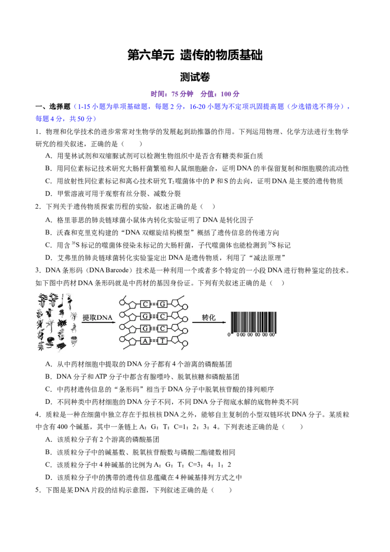 第六单元遗传的物质基础（测试）（原卷版）_2025年新高考资料_一轮复习_2025年高考生物一轮复习讲练测（新教材新高考）