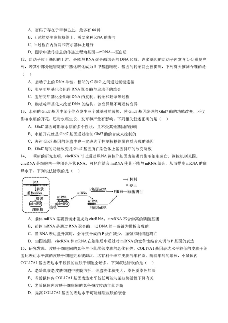 第六单元遗传的物质基础（测试）（原卷版）_2025年新高考资料_一轮复习_2025年高考生物一轮复习讲练测（新教材新高考）