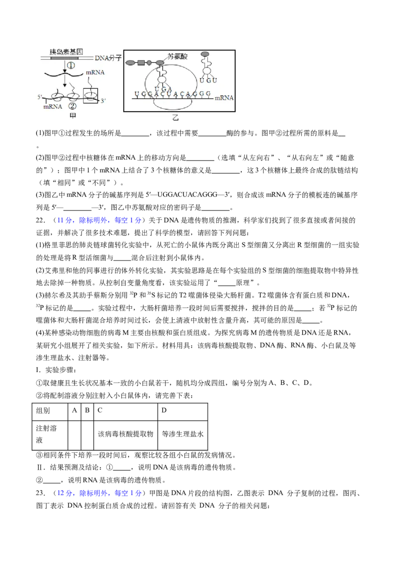 第六单元遗传的物质基础（测试）（原卷版）_2025年新高考资料_一轮复习_2025年高考生物一轮复习讲练测（新教材新高考）