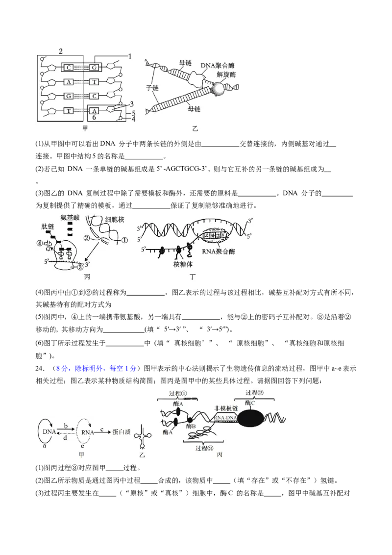 第六单元遗传的物质基础（测试）（原卷版）_2025年新高考资料_一轮复习_2025年高考生物一轮复习讲练测（新教材新高考）