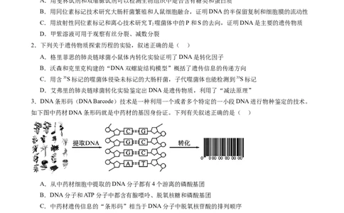 第六单元遗传的物质基础（测试）（原卷版）_2025年新高考资料_一轮复习_2025年高考生物一轮复习讲练测（新教材新高考）