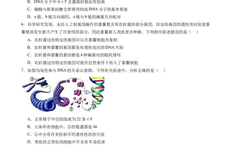 第六单元遗传的物质基础（测试）（原卷版）_2025年新高考资料_一轮复习_2025年高考生物一轮复习讲练测（新教材新高考）