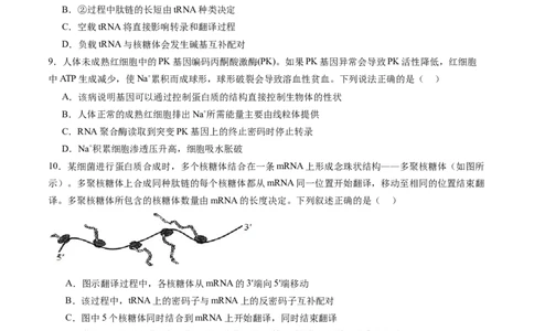 第六单元遗传的物质基础（测试）（原卷版）_2025年新高考资料_一轮复习_2025年高考生物一轮复习讲练测（新教材新高考）