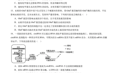 第六单元遗传的物质基础（测试）（原卷版）_2025年新高考资料_一轮复习_2025年高考生物一轮复习讲练测（新教材新高考）