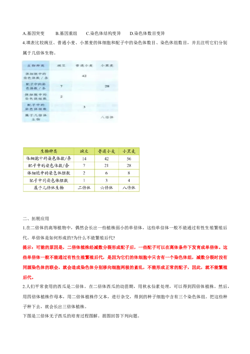 第5章基因突变及其他变异-查漏补缺2023年高考生物一轮复习教材必背细节与旁栏思考梳理汇总（新教材）（答案版）_新高考复习资料_2023年新高考复习资料_一轮复习
