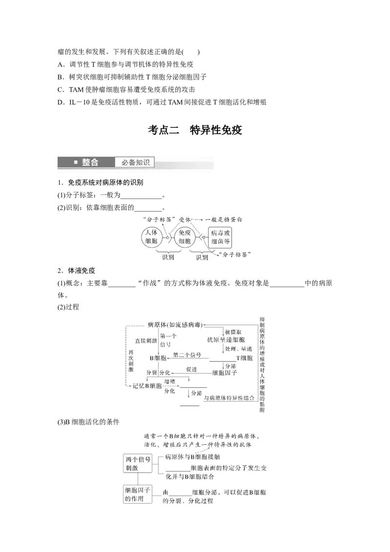 第八单元　第42课时　免疫系统的组成、功能及特异性免疫_2025年新高考资料_一轮复习_2025大一轮复习讲义+课件（完结）_2025大一轮复习讲义生物学生用书Word版文档整书
