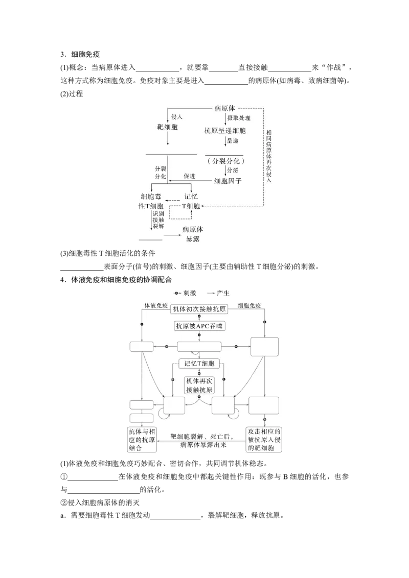 第八单元　第42课时　免疫系统的组成、功能及特异性免疫_2025年新高考资料_一轮复习_2025大一轮复习讲义+课件（完结）_2025大一轮复习讲义生物学生用书Word版文档整书