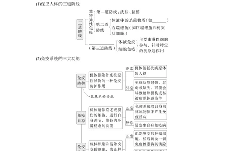 第八单元　第42课时　免疫系统的组成、功能及特异性免疫_2025年新高考资料_一轮复习_2025大一轮复习讲义+课件（完结）_2025大一轮复习讲义生物学生用书Word版文档整书