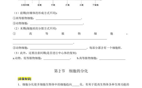 第6章细胞的生命历程（填空版）_2025年新高考资料_专项复习_晨读晚默备战2025年高考生物必背知识清单_第6章细胞的生命历程-晨读晚默备战2025年高考生物必背知识清单
