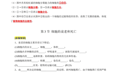 第6章细胞的生命历程（填空版）_2025年新高考资料_专项复习_晨读晚默备战2025年高考生物必背知识清单_第6章细胞的生命历程-晨读晚默备战2025年高考生物必背知识清单