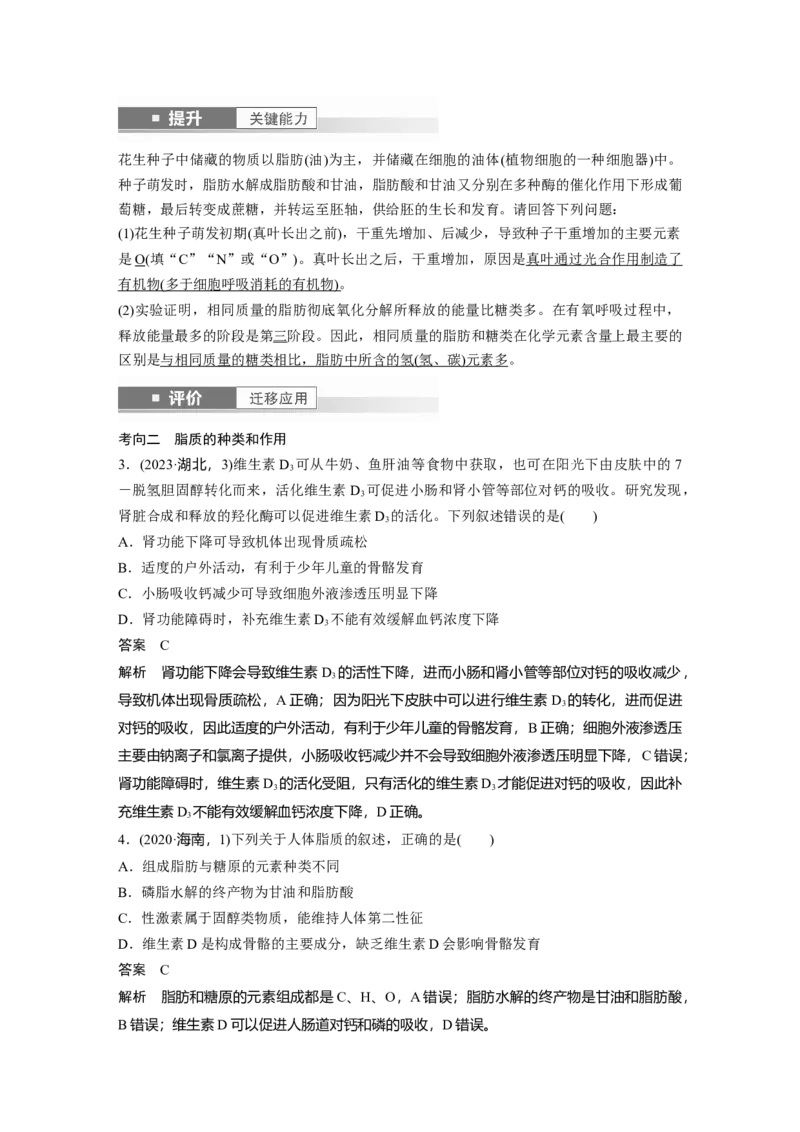 第一单元　第3课时　细胞中的糖类和脂质_2025年新高考资料_一轮复习_2025大一轮复习讲义+课件（完结）_2025大一轮复习讲义生物教师用书Word版文档整书_配套Word版文档第一~二单元