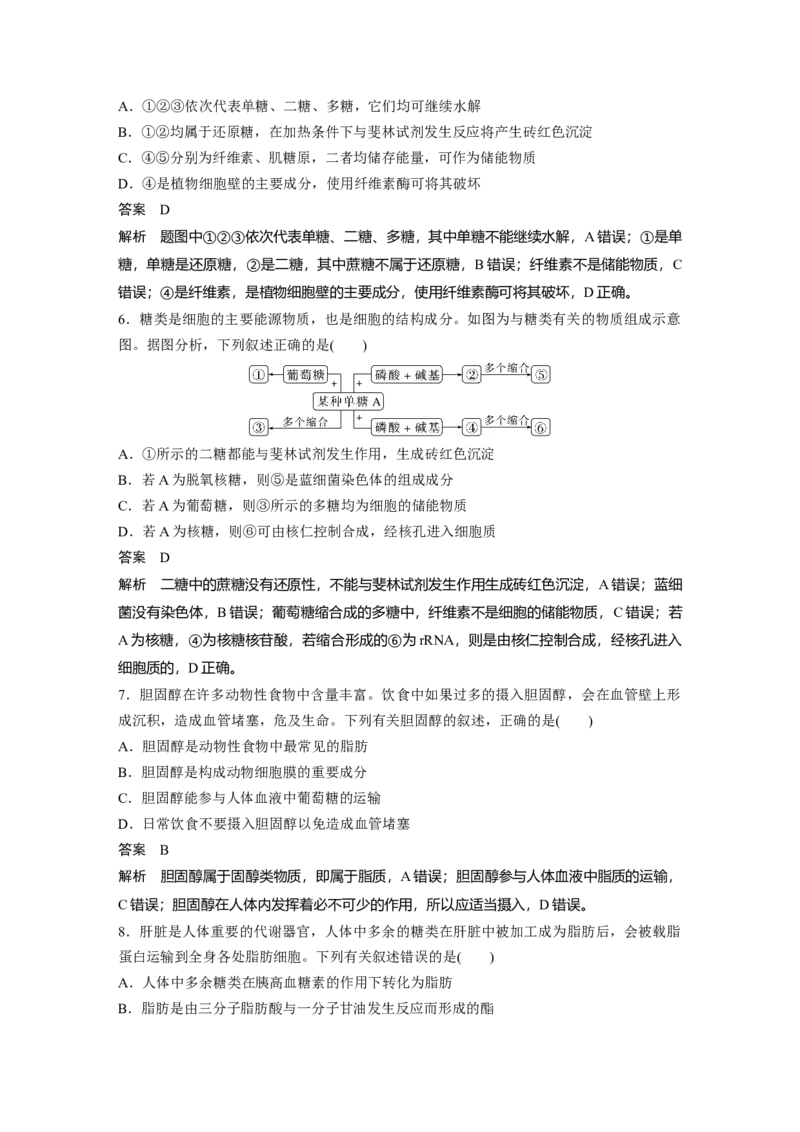 第一单元　第3课时　细胞中的糖类和脂质_2025年新高考资料_一轮复习_2025大一轮复习讲义+课件（完结）_2025大一轮复习讲义生物教师用书Word版文档整书_配套Word版文档第一~二单元