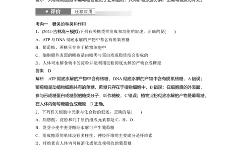 第一单元　第3课时　细胞中的糖类和脂质_2025年新高考资料_一轮复习_2025大一轮复习讲义+课件（完结）_2025大一轮复习讲义生物教师用书Word版文档整书_配套Word版文档第一~二单元