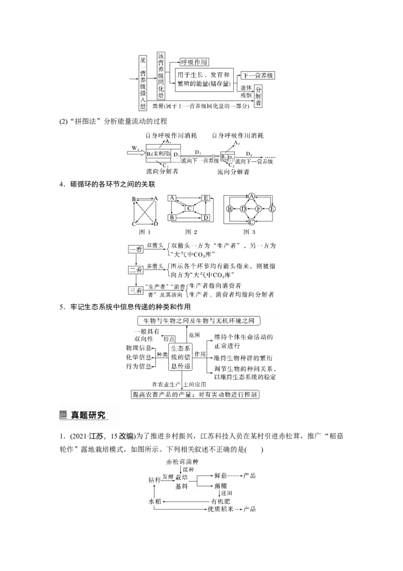 第一篇专题七考点二　生态系统的结构与功能_通用版（老高考）复习资料_2023年复习资料_二轮复习_2023年高考生物二轮复习讲义+课件（全国版）_2023年高考生物二轮复习讲义（全国版）
