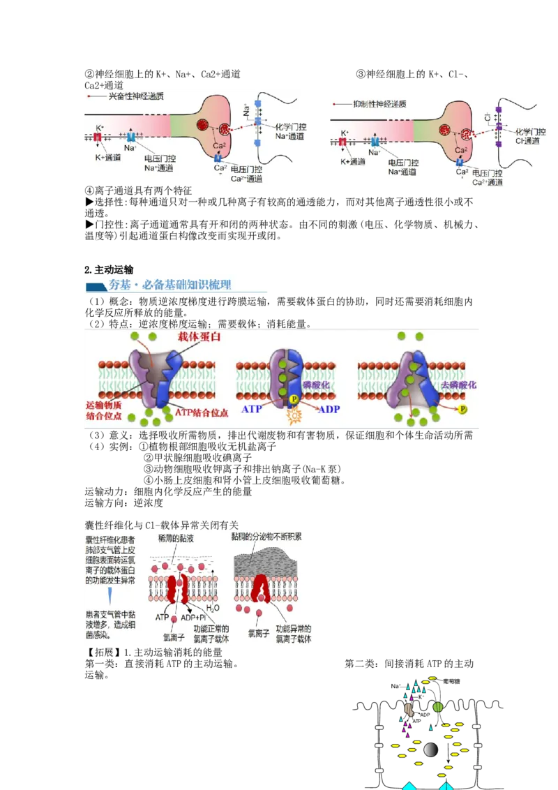 第7讲物质运输（讲义）（学生版）_新高考复习资料_2024年新高考复习资料_一轮复习资料_完2024年高考生物一轮复习讲练测(课件+讲义+练习)（新高考）_讲义+练习