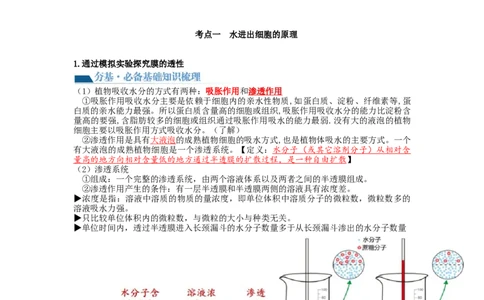 第7讲物质运输（讲义）（学生版）_新高考复习资料_2024年新高考复习资料_一轮复习资料_完2024年高考生物一轮复习讲练测(课件+讲义+练习)（新高考）_讲义+练习
