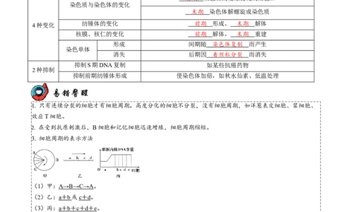 第5讲细胞的分裂、分化、衰老和死亡（讲练）-2023年高考生物二轮复习讲练测（新教材专用）（解析版）_新高考复习资料_2023年新高考复习资料_二轮复习