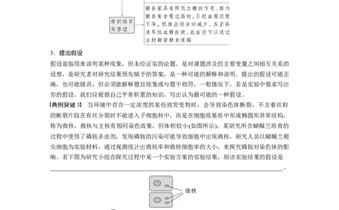 第三单元　专题突破1　实验技能解题策略_2025年新高考资料_一轮复习_2025大一轮复习讲义+课件（完结）_2025大一轮复习讲义生物教师用书Word版文档整书_配套Word版文档第三~六单元