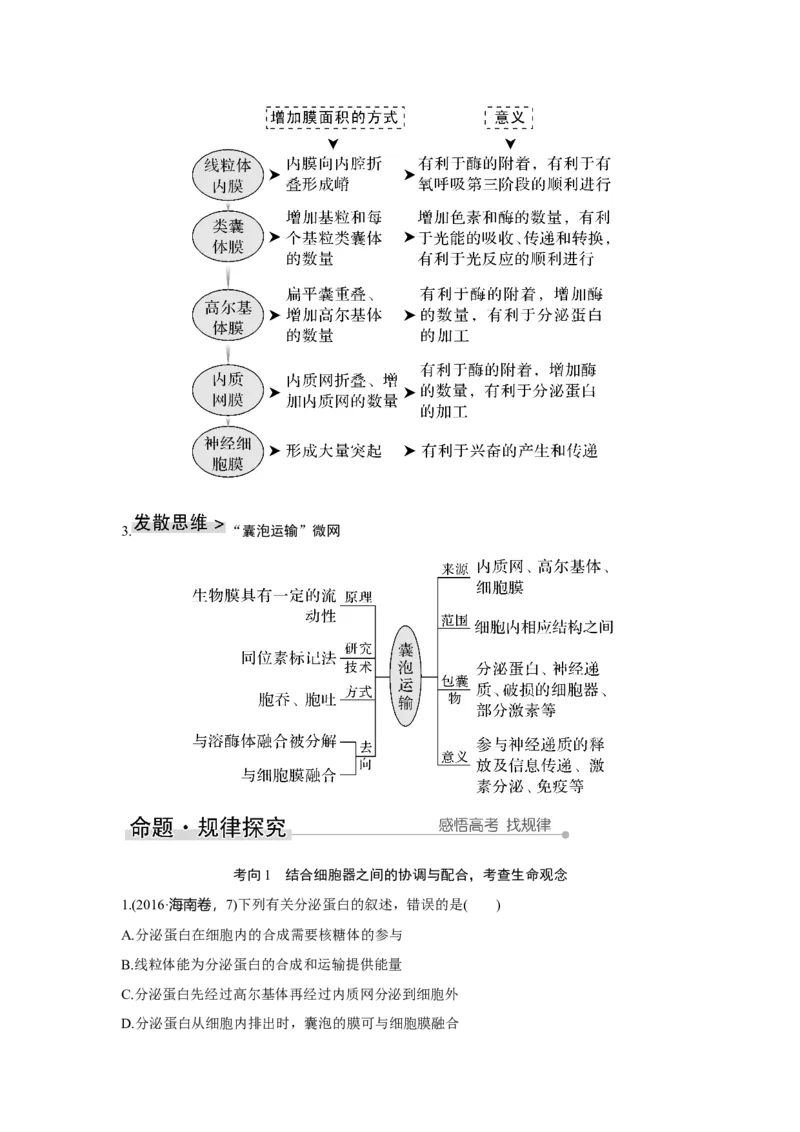 第5讲　细胞器之间的分工合作_新高考复习资料_2023年新高考复习资料_一轮复习_2023年新高考大一轮复习讲义_2023年高考生物一轮复习讲义（新人教新高考）_赠补充习题