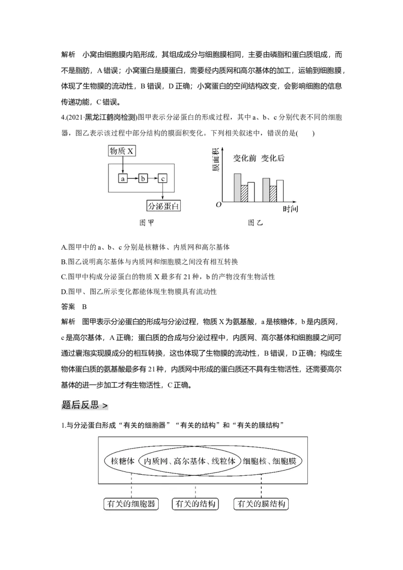 第5讲　细胞器之间的分工合作_新高考复习资料_2023年新高考复习资料_一轮复习_2023年新高考大一轮复习讲义_2023年高考生物一轮复习讲义（新人教新高考）_赠补充习题