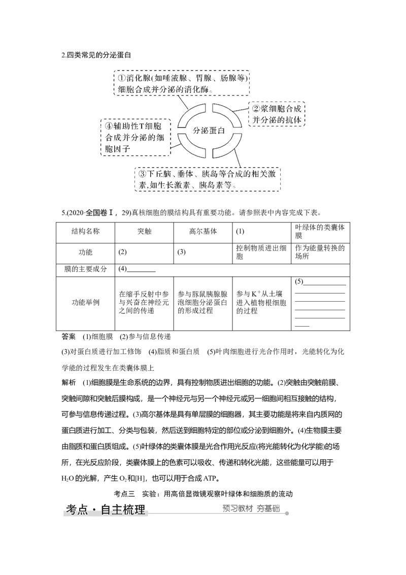 第5讲　细胞器之间的分工合作_新高考复习资料_2023年新高考复习资料_一轮复习_2023年新高考大一轮复习讲义_2023年高考生物一轮复习讲义（新人教新高考）_赠补充习题