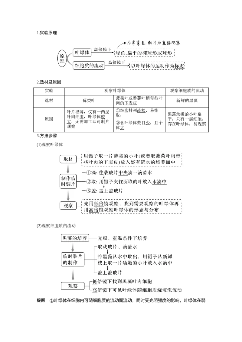 第5讲　细胞器之间的分工合作_新高考复习资料_2023年新高考复习资料_一轮复习_2023年新高考大一轮复习讲义_2023年高考生物一轮复习讲义（新人教新高考）_赠补充习题