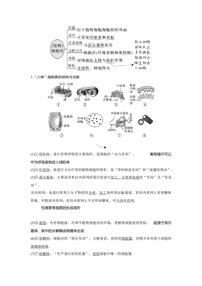 第5讲　细胞器之间的分工合作_新高考复习资料_2023年新高考复习资料_一轮复习_2023年新高考大一轮复习讲义_2023年高考生物一轮复习讲义（新人教新高考）_赠补充习题