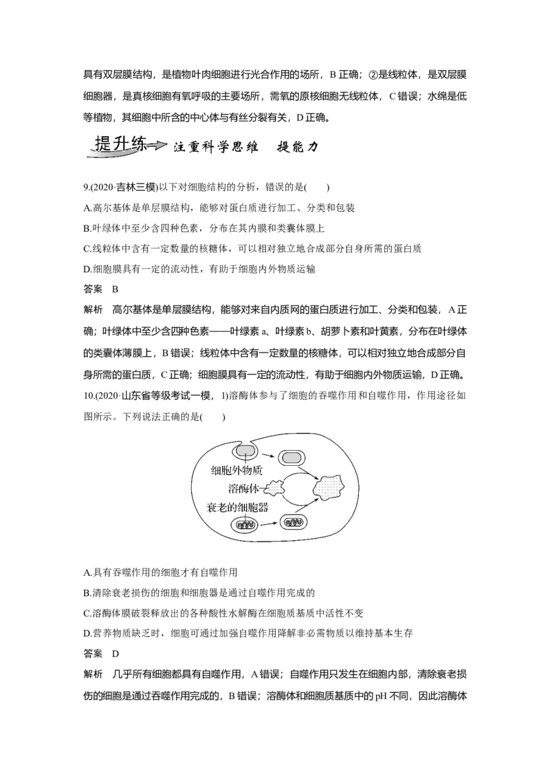 第5讲　细胞器之间的分工合作_新高考复习资料_2023年新高考复习资料_一轮复习_2023年新高考大一轮复习讲义_2023年高考生物一轮复习讲义（新人教新高考）_赠补充习题