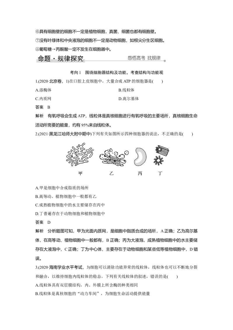 第5讲　细胞器之间的分工合作_新高考复习资料_2023年新高考复习资料_一轮复习_2023年新高考大一轮复习讲义_2023年高考生物一轮复习讲义（新人教新高考）_赠补充习题
