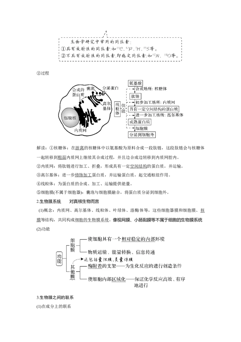 第5讲　细胞器之间的分工合作_新高考复习资料_2023年新高考复习资料_一轮复习_2023年新高考大一轮复习讲义_2023年高考生物一轮复习讲义（新人教新高考）_赠补充习题