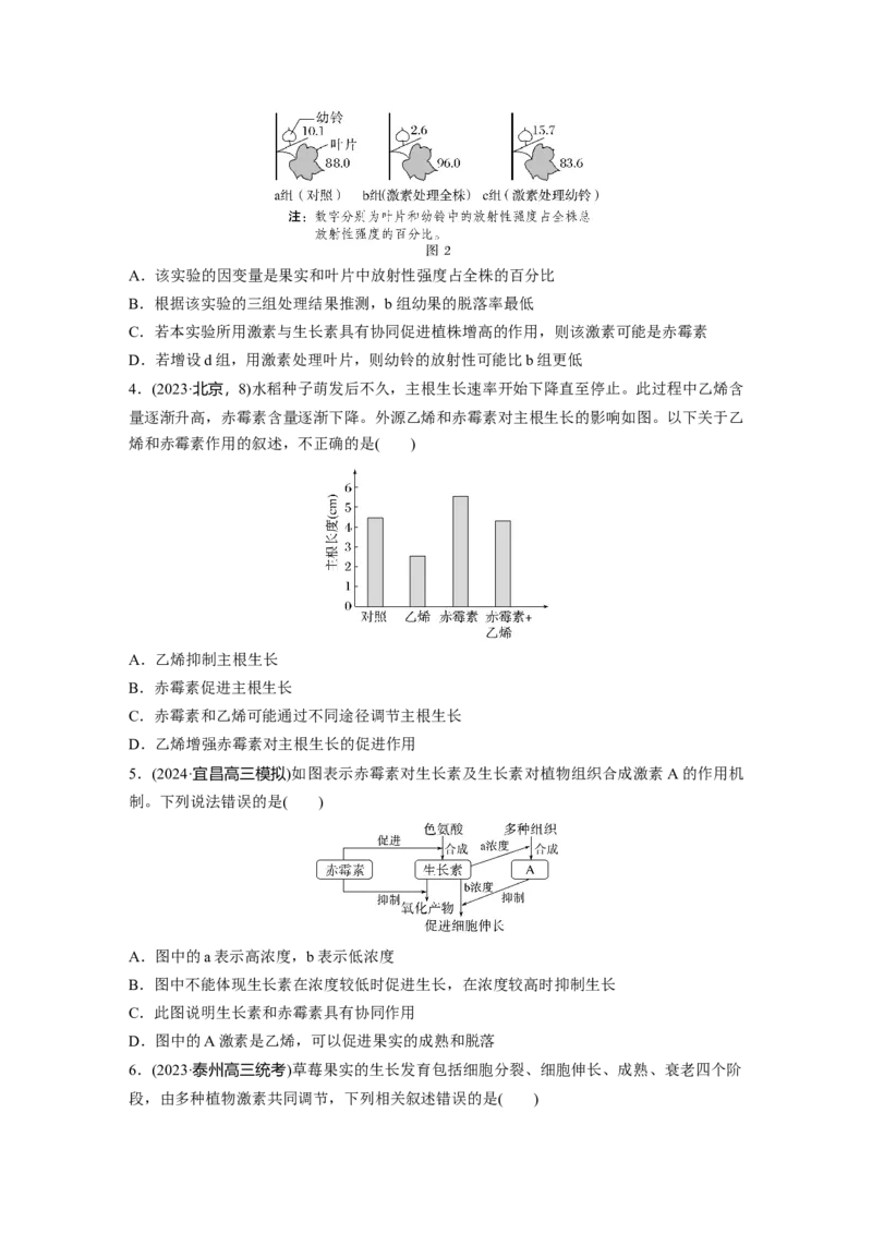 第八单元　课时练45　其他植物激素_2025年新高考资料_一轮复习_2025大一轮复习讲义+课件（完结）_2025大一轮复习讲义生物学生用书Word版文档整书_2025一轮复习73练