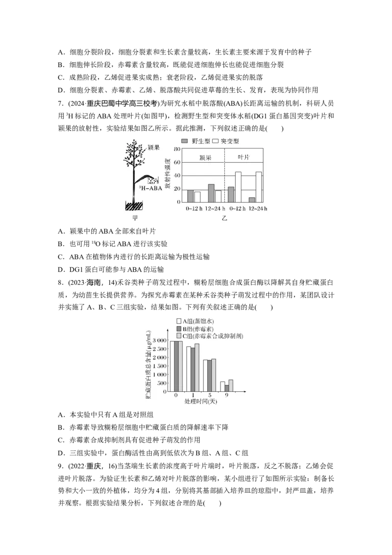 第八单元　课时练45　其他植物激素_2025年新高考资料_一轮复习_2025大一轮复习讲义+课件（完结）_2025大一轮复习讲义生物学生用书Word版文档整书_2025一轮复习73练
