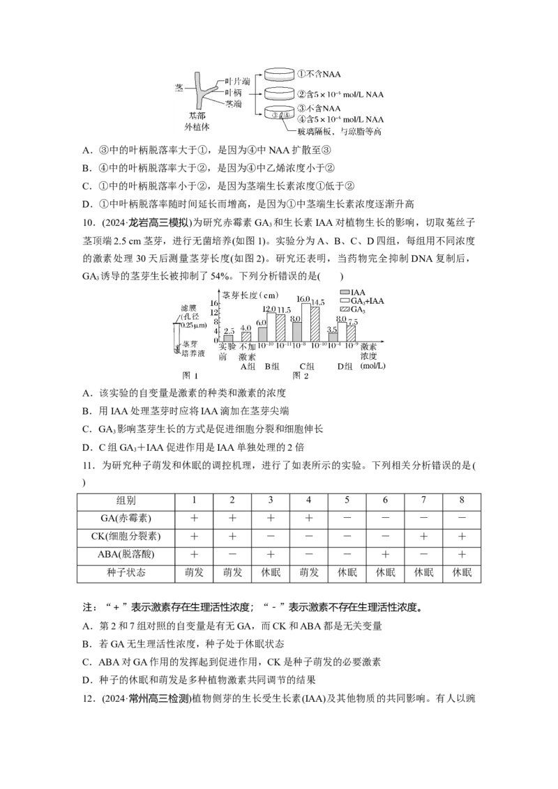 第八单元　课时练45　其他植物激素_2025年新高考资料_一轮复习_2025大一轮复习讲义+课件（完结）_2025大一轮复习讲义生物学生用书Word版文档整书_2025一轮复习73练