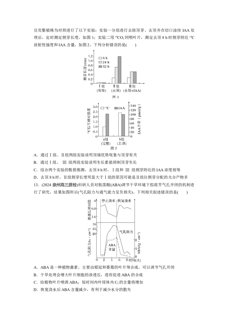 第八单元　课时练45　其他植物激素_2025年新高考资料_一轮复习_2025大一轮复习讲义+课件（完结）_2025大一轮复习讲义生物学生用书Word版文档整书_2025一轮复习73练