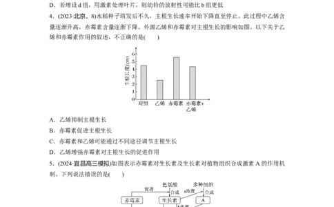 第八单元　课时练45　其他植物激素_2025年新高考资料_一轮复习_2025大一轮复习讲义+课件（完结）_2025大一轮复习讲义生物学生用书Word版文档整书_2025一轮复习73练