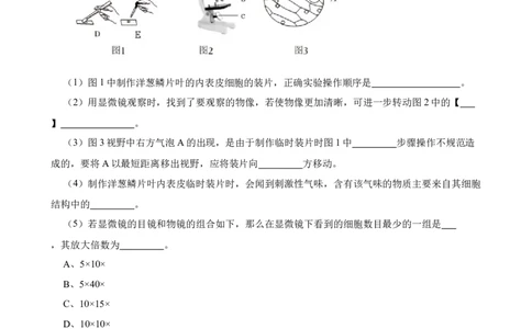 2024年中考生物专题复习：实验探究题（含答案）_6生物中考复习_2024年中考复习资料_二轮复习_备考2024中考生物二轮复习题型突破专练