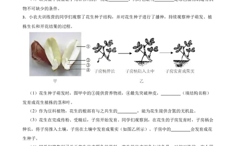 2024年中考生物专题复习：实验探究题（含答案）_6生物中考复习_2024年中考复习资料_二轮复习_备考2024中考生物二轮复习题型突破专练