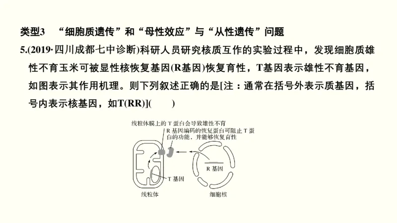 第六单元遗传的基本规律（教案）_新高考复习资料_2022年新高考复习资料_2022届一轮复习讲练结合7.13更新_系列一_第六单元遗传的基本规律