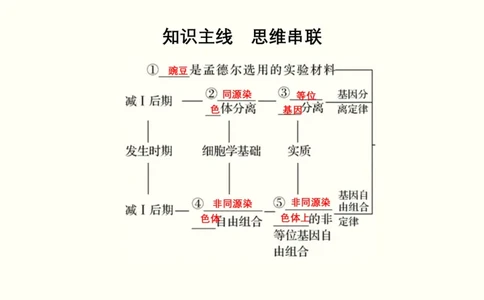 第六单元遗传的基本规律（教案）_新高考复习资料_2022年新高考复习资料_2022届一轮复习讲练结合7.13更新_系列一_第六单元遗传的基本规律