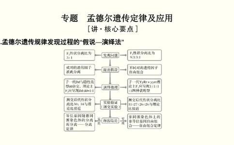 第六单元遗传的基本规律（教案）_新高考复习资料_2022年新高考复习资料_2022届一轮复习讲练结合7.13更新_系列一_第六单元遗传的基本规律