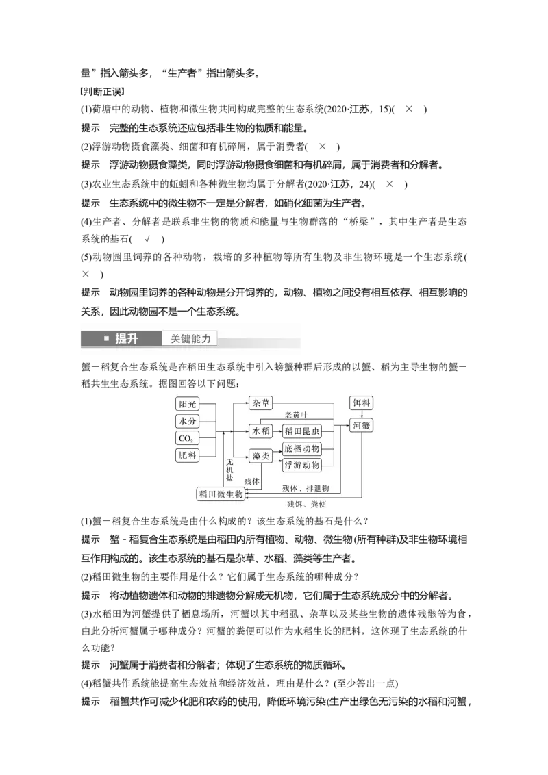 第九单元　第51课时　生态系统的结构_2025年新高考资料_一轮复习_2025大一轮复习讲义+课件（完结）_2025大一轮复习讲义生物教师用书Word版文档整书_配套Word版文档第七~十单元
