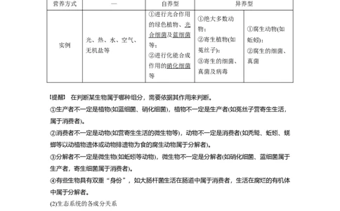 第九单元　第51课时　生态系统的结构_2025年新高考资料_一轮复习_2025大一轮复习讲义+课件（完结）_2025大一轮复习讲义生物教师用书Word版文档整书_配套Word版文档第七~十单元