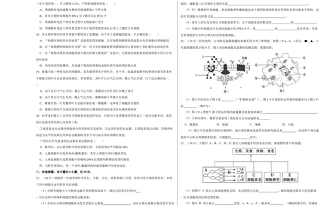 第三单元细胞的分化、衰老、凋亡及癌变（A卷新题基础练）-2022年高考生物一轮复习单元滚动双测卷（考试版）_新高考复习资料_2023年新高考复习资料_一轮复习