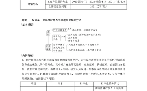 第七单元　专题突破9　聚焦变异热点题型_2025年新高考资料_一轮复习_2025大一轮复习讲义+课件（完结）_2025大一轮复习讲义生物教师用书Word版文档整书_配套Word版文档第七~十单元