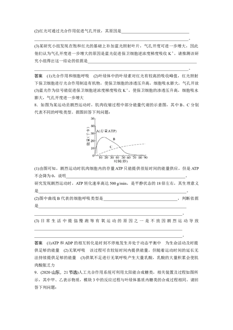 第三单元　专题突破3　长句表达作答策略_2025年新高考资料_一轮复习_2025大一轮复习讲义+课件（完结）_2025大一轮复习讲义生物教师用书Word版文档整书_配套Word版文档第三~六单元