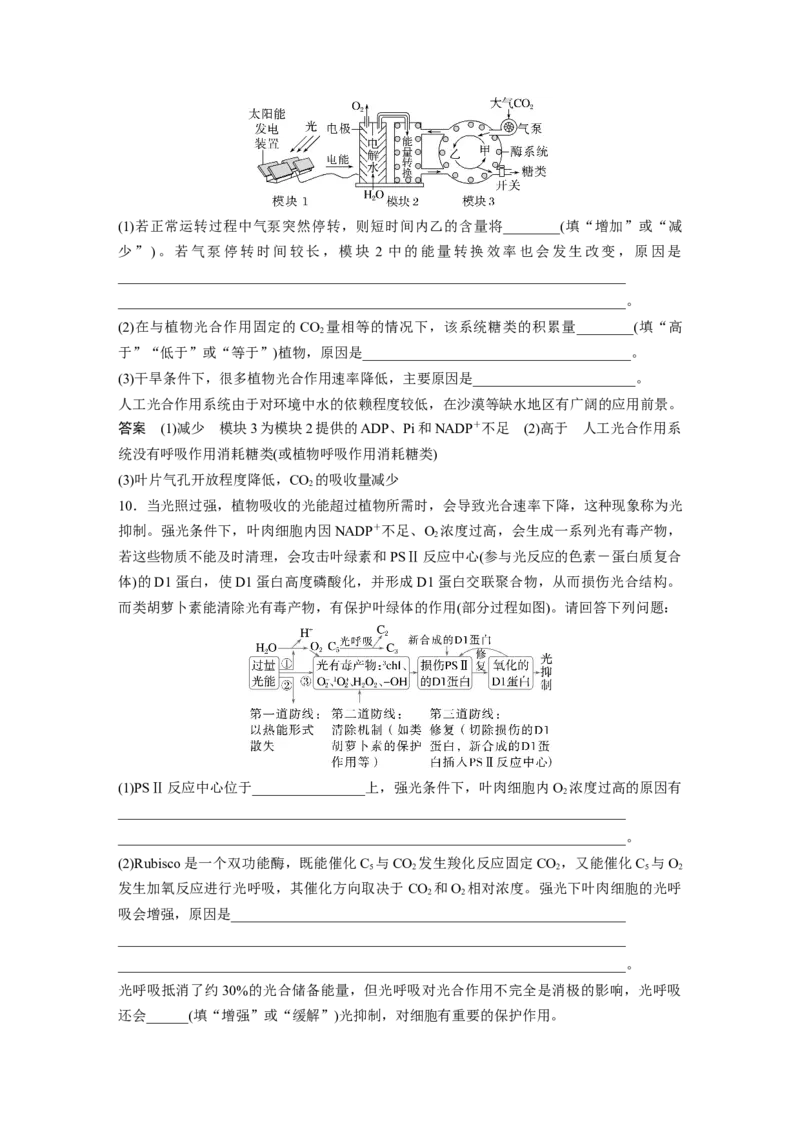 第三单元　专题突破3　长句表达作答策略_2025年新高考资料_一轮复习_2025大一轮复习讲义+课件（完结）_2025大一轮复习讲义生物教师用书Word版文档整书_配套Word版文档第三~六单元