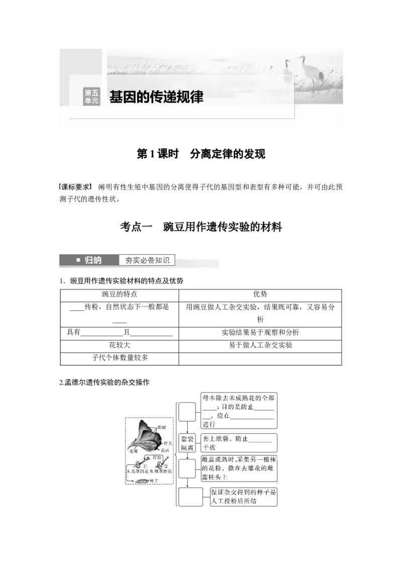 第5单元　第1课时　分离定律的发现_新高考复习资料_2024年新高考复习资料_一轮复习资料_完2024生物步步高大一轮复习（课件+讲义）_2024年高考生物一轮复习讲义（新人教版）